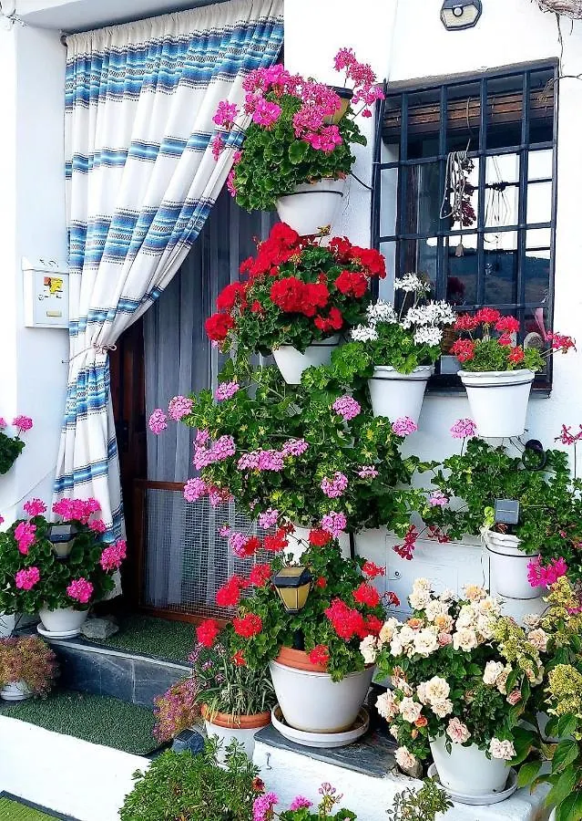 Casa Alhambra - Centro Historico Con Jardin Privado Διαμέρισμα Γρανάδα 0*,