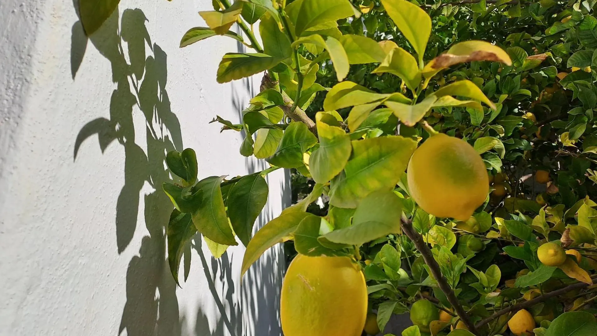 Apartment Ferienwohnung Casa Alhambra - Centro Historico Con Jardin Privado Granada